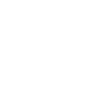 CAPITAL