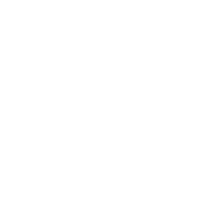 MENSULA